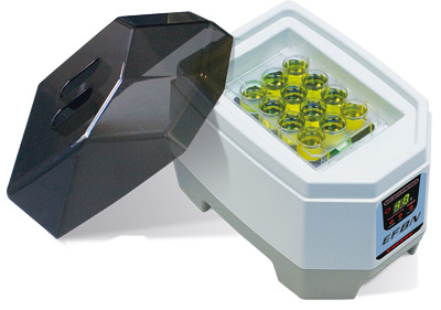 TAITEC泰特克   恒温室   EFBN