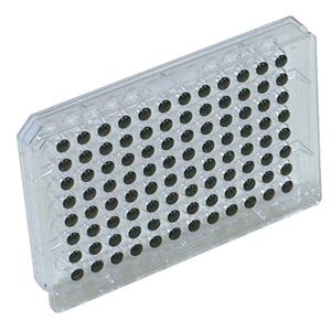 TAITEC泰特克   氧气传感器   OP96C