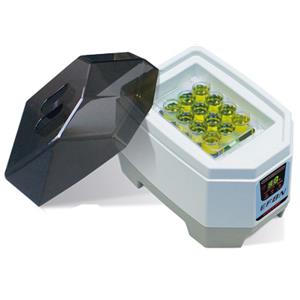 TAITEC泰特克   恒温室   EFBN