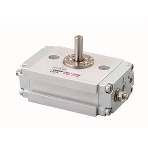 NEW-ERA新时代 RS01-18D-α+β  气动设备产品